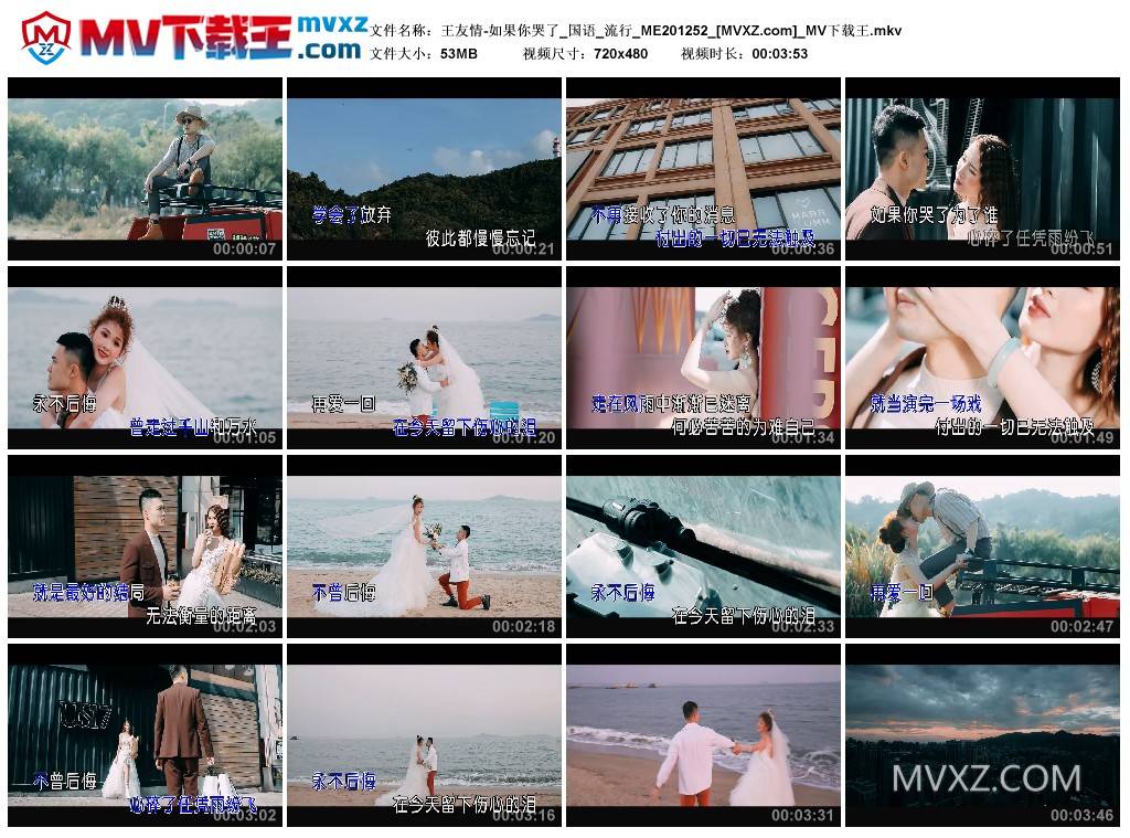 王友情-如果你哭了_国语_流行_ME201252